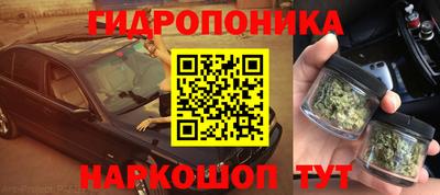 наркотики Кингисепп