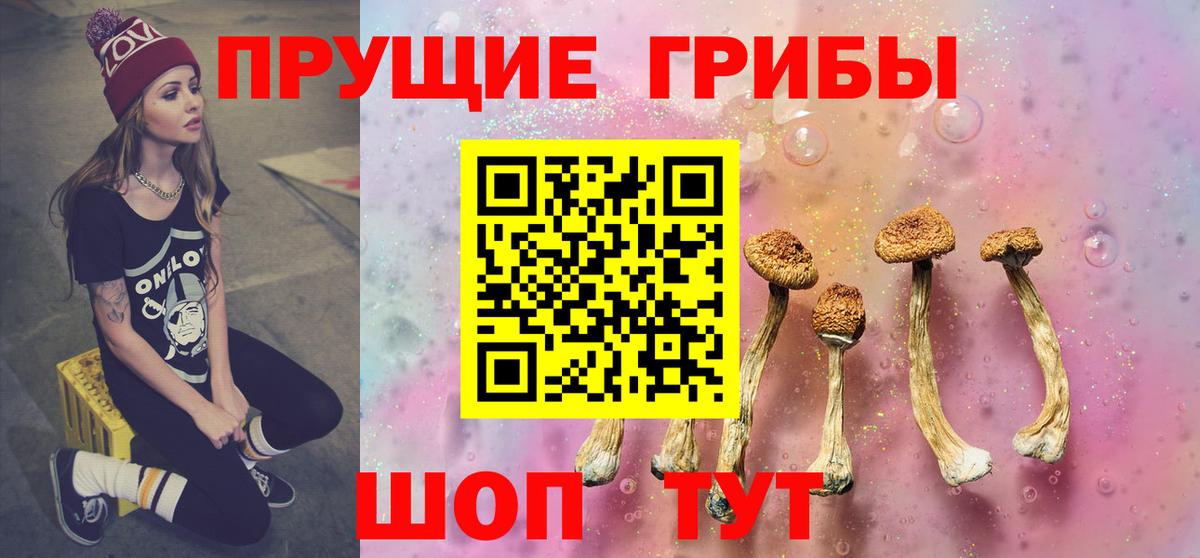 даркнет сайт  Псилоцибиновые грибы мицелий  Вход с VPN  Кудымкар 