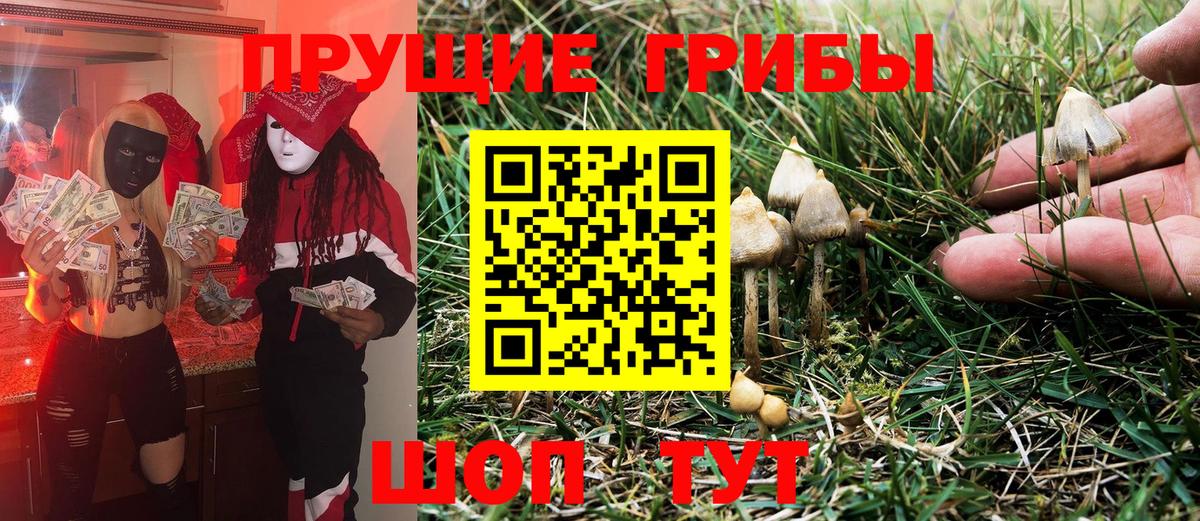 Псилоцибиновые грибы Magic Shrooms Кудымкар
